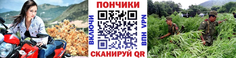 Шишки марихуана Bruce Banner Сергач